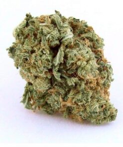 Blue Dream Weed For Sale in Australia