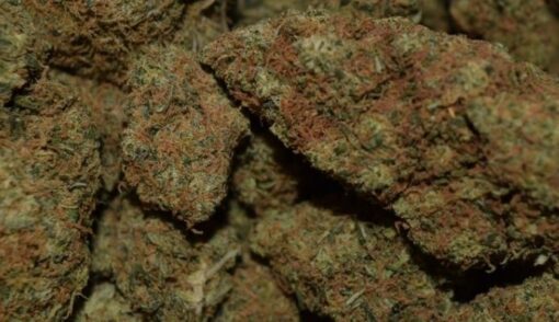 Buy Trainwreck online dispensary with free overnight delivery