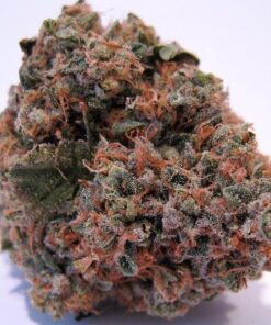 buy og kush online with overnight delivery